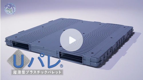 マリンブルーブロー株式会社様 －動画制作－