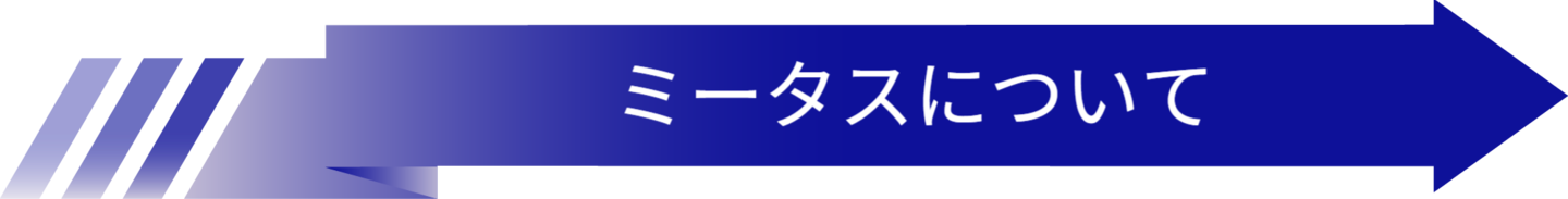 ミータスについて